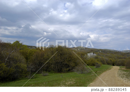 A path in a rural landscape with meadows in Crimea. Ukraine 88289145