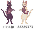 カフェ店員(黒猫&茶トラ猫) 88289373