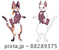 カフェ店員(三毛猫&白猫) 88289375
