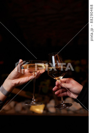 Celebrating with glasses of alcohol in hands. Happy female friends having good time. 88290468