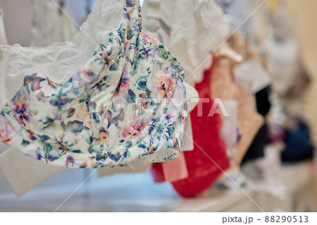 Vareity of bra hanging on a hanger. Textile, Underwear. Female bra in lingerie underwear store. Advertise, sale, fashion concept. 88290513