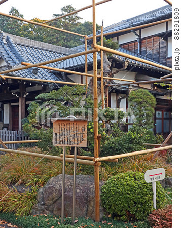 源正寺（武蔵野） 88291809