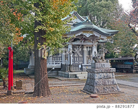 関前八幡神社（武蔵野） 88291877
