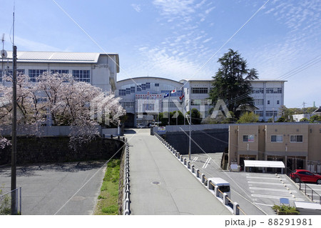 さくら咲く福岡県立三池工業高等学校 さくら咲く福岡県立三池工業高等学校 88291981
