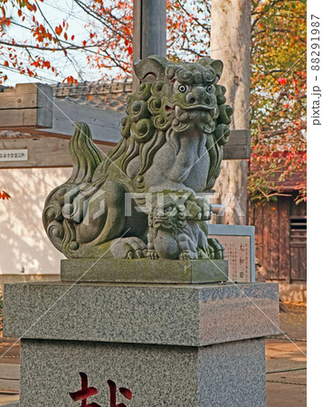 大和田氷川神社（新座） 88291987