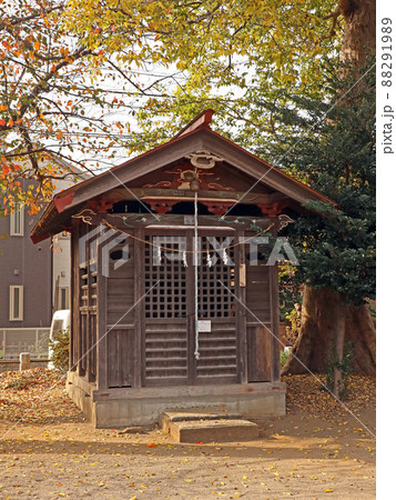 大和田氷川神社(新座) 大和田氷川神社(新座) 88291989