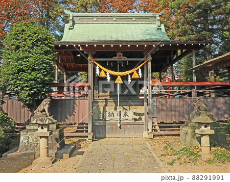 大和田氷川神社（新座） 88291991