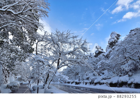 金沢城　お堀通りの雪景色 88293255