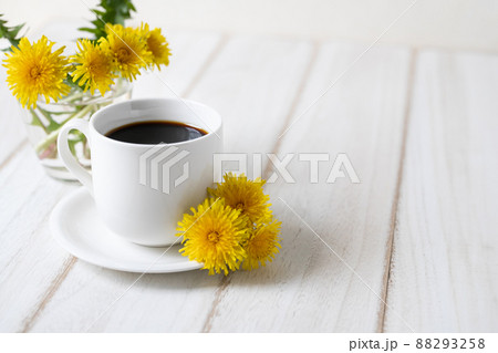 コーヒーとたんぽぽ たんぽぽコーヒーのイメージ素材 コーヒーとたんぽぽ たんぽぽコーヒーのイメージ素材 88293258