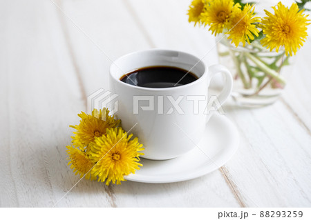 コーヒーとたんぽぽ たんぽぽコーヒーのイメージ素材 コーヒーとたんぽぽ たんぽぽコーヒーのイメージ素材 88293259