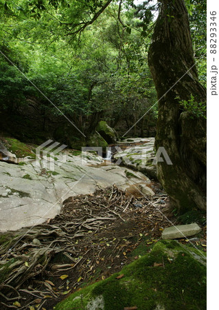 鳥取　四季の散歩　赤波川の甌穴 88293346