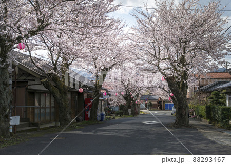 春の旧国鉄倉吉線関金駅跡の町並み(倉吉市) 春の旧国鉄倉吉線関金駅跡の町並み(倉吉市) 88293467