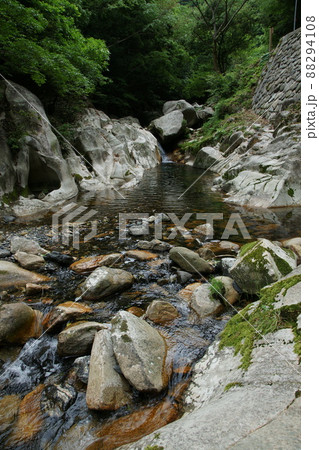 鳥取　四季の散歩　赤波川の甌穴 88294108