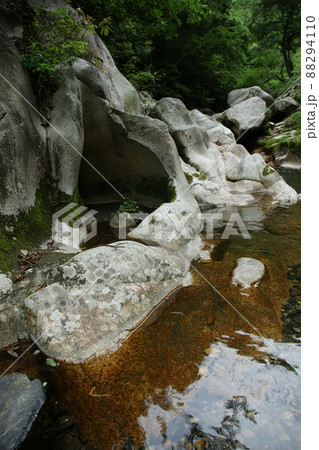 鳥取　四季の散歩　赤波川の甌穴 88294110
