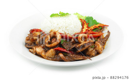 Stir Fried Squids with Chili Paste Served Rice Stir Fried Squids with Chili Paste Served Rice 88294176