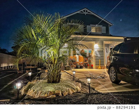 ヤシの木のあるアメリカンガレージハウス ヤシの木のあるアメリカンガレージハウス 88294191