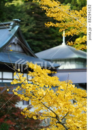 妙見山 本瀧寺の紅葉 妙見山 本瀧寺の紅葉 88294192