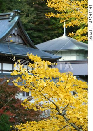 妙見山　本瀧寺の紅葉 88294193