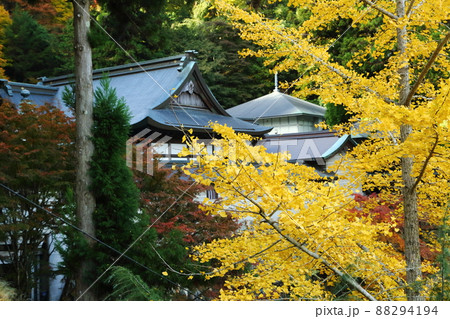 妙見山　本瀧寺の紅葉 88294194