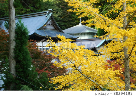 妙見山　本瀧寺の紅葉 88294195