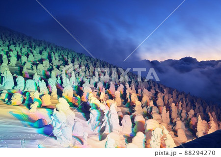 蔵王温泉スキー場の樹氷　ライトアップ 88294270