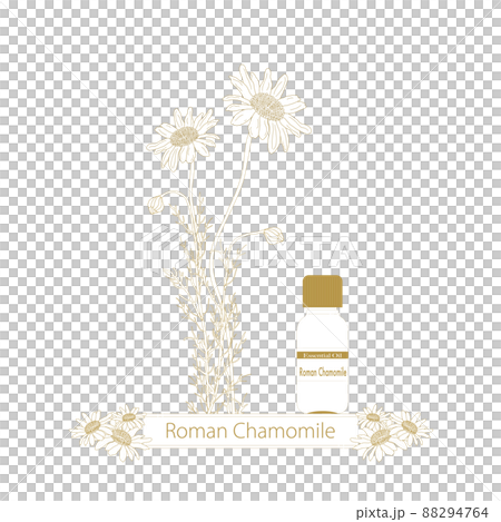 Chamomile line drawing, essential oil bottle, roman chamomile 88294764