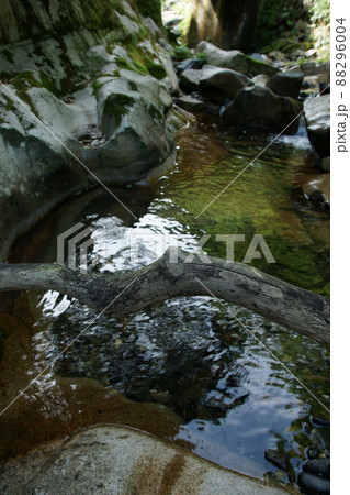鳥取　四季の散歩　赤波川の甌穴 88296004