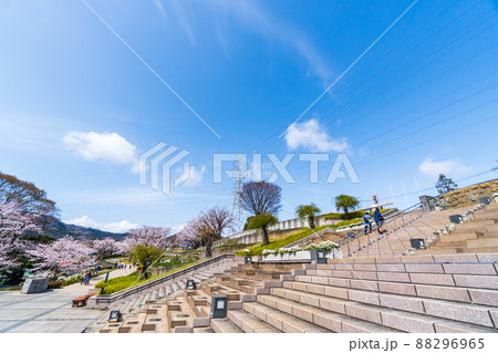 神奈川県　春の津久井湖城山公園 88296965