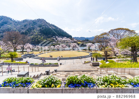 神奈川県 春の津久井湖城山公園 神奈川県 春の津久井湖城山公園 88296968