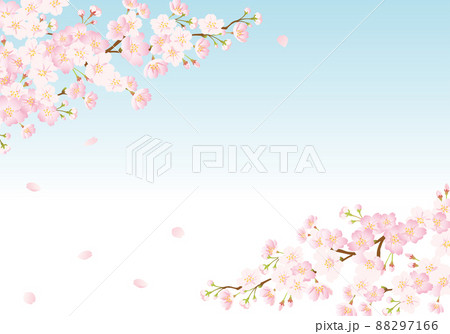 桜の背景　青空 88297166