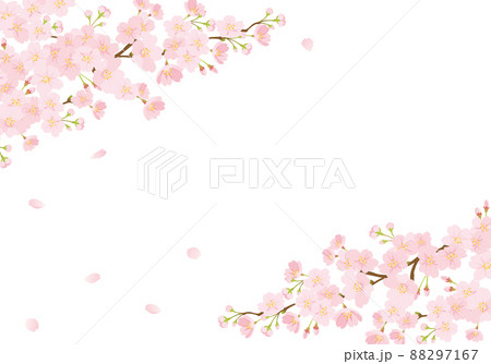 桜の背景 88297167