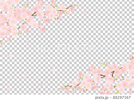 桜の背景 88297167