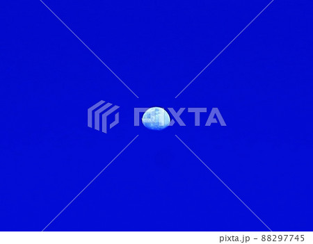 月 月 88297745