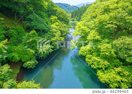 小黒川　渡良瀬川支流　上田澤橋上流方面　黒保根町　初夏の風景　　　 88299405