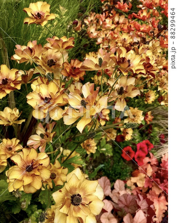 花壇に咲いた黄色とオレンジ色の花 88299464