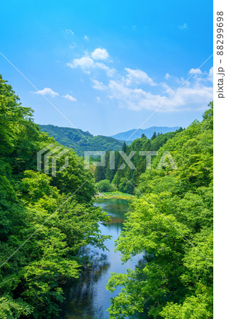 小黒川　渡良瀬川支流　上田澤橋上流方面　黒保根町　初夏の風景　　　 88299698