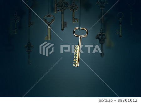 onceptual image with hanging keys 88301012