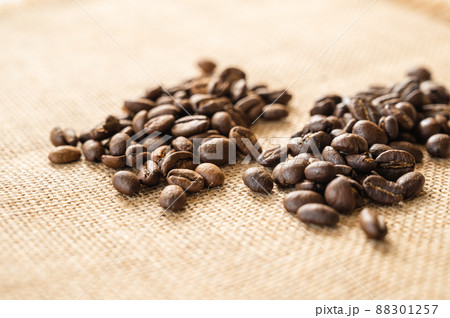 浅煎りと中煎りのコーヒー豆　モカ 88301257