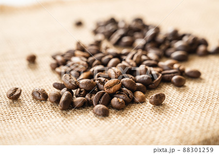 浅煎りコーヒー豆　モカ 88301259