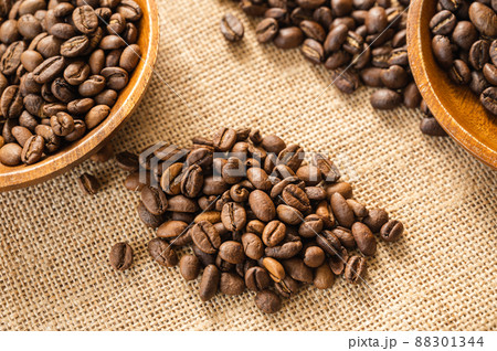 コーヒー豆　浅煎りモカ 88301344