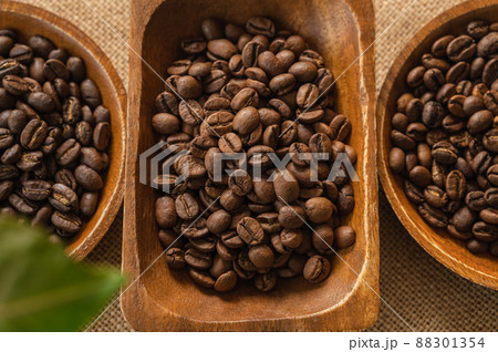 コーヒー豆 三種類 コーヒー豆 三種類 88301354