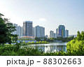 オリンピック公園 公園 湖 88302663