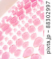 ゼリー 88302997