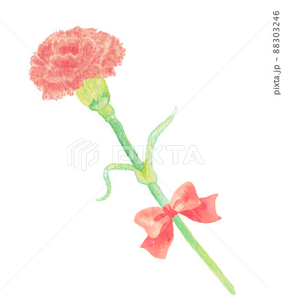 イラスト素材 水彩絵の具で手描きした優しいタッチの母の日にプレゼントしたいカーネーション リボン付きのイラスト素材