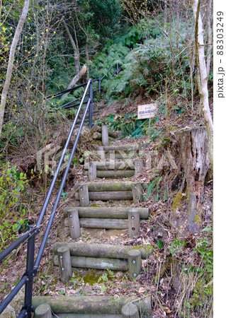 福井県敦賀市　衣掛山登山道の案内板 88303249