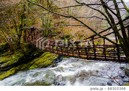 奥祖谷の風景 奥祖谷二重かずら橋(女橋) 奥祖谷の風景 奥祖谷二重かずら橋(女橋) 88303366