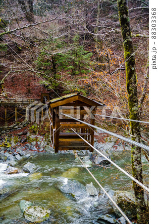 奥祖谷の風景 奥祖谷二重かずら橋(野猿) 奥祖谷の風景 奥祖谷二重かずら橋(野猿) 88303368