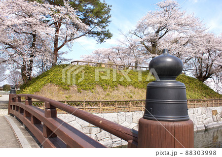 サクラ咲く壬生城址公園 88303998