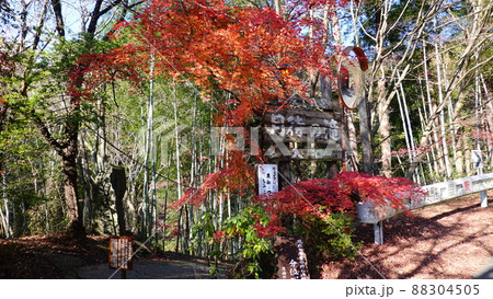 茨城県大子町のパワースポット「月待の滝」の紅葉 6025 茨城県大子町のパワースポット「月待の滝」の紅葉 6025 88304505