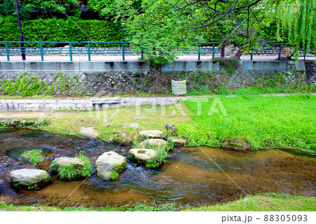 【島根】初夏の松江 新緑と玉湯川 【島根】初夏の松江 新緑と玉湯川 88305093